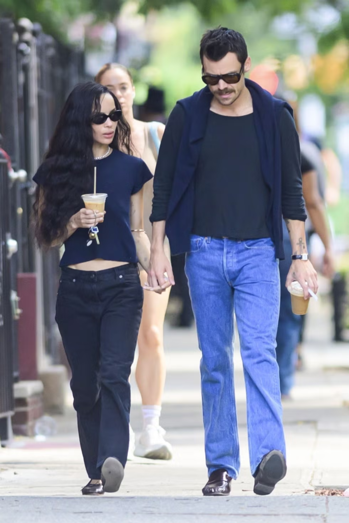 Harry Styles and Zoe Kravitz