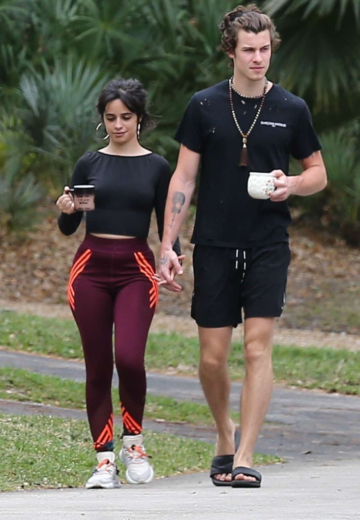Shawn Mendes and Camila Cabello walking while holding hands